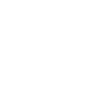 History