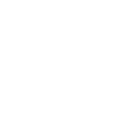 DeAJunior