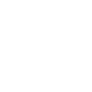 RaiGulp