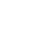 RaiSport