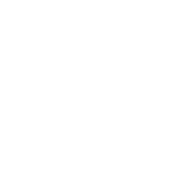 Frisbee