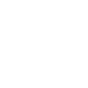 TV8
